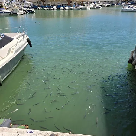 Benal * Benalmadena